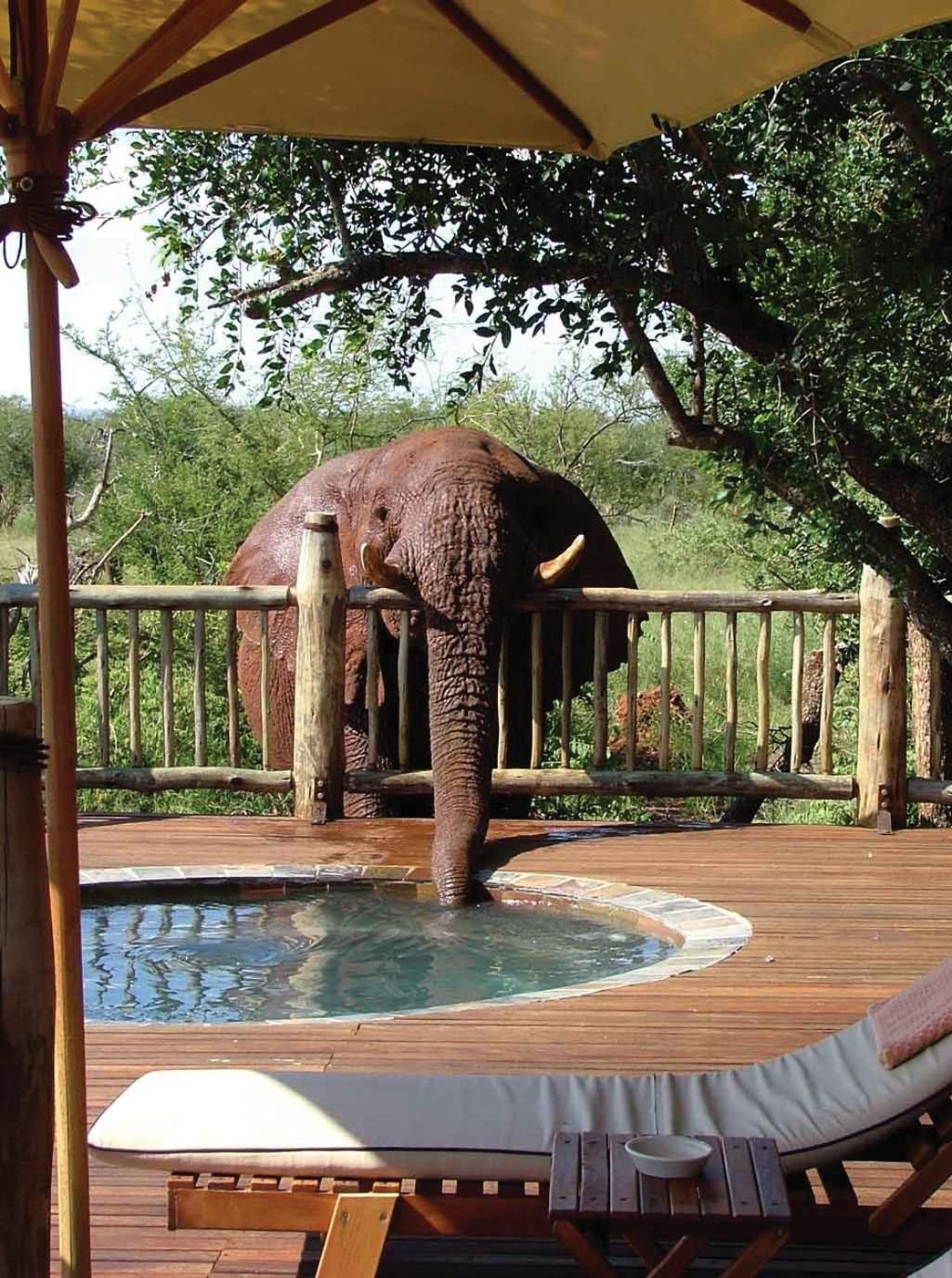 Etali Safari Lodge Madikwe Game Reserve Exterior foto